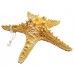 Декоративная Морская звезда  22x22x5 см (комплект 3шт) желтая, розовая , желтая
