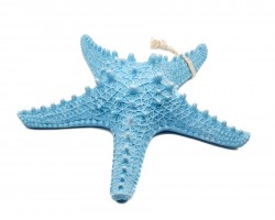 Декоративная Морская звезда  31x31x8 см, LBLUE