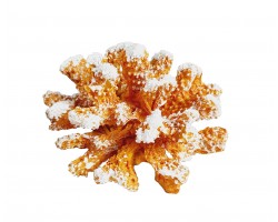 Декоративный Коралл  13х11х8 см, Морской декор, ROUND ORANGE