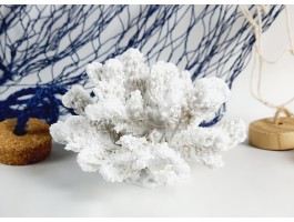 Декоративный Коралл  13х11х8 см, Морской декор, ROUND white