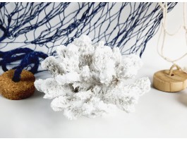 Декоративный Коралл  13х11х8 см, Морской декор, ROUND white