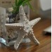 Декоративная Морская звезда 15 см комплект 6шт