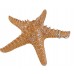 Декоративная Морская звезда 31 см, оранжевая