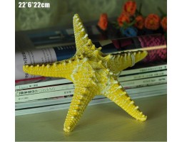 Декоративная Морская звезда 22 см комплект 6шт