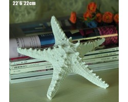 Декоративная Морская звезда 22 см комплект 6шт