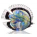 Стеклянная фигурка Рыбка в стиле Мурано. 15х4х13 см Ruff Fish Color