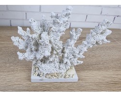 Декоративный Коралл на подставке  18х15х6 см, White.  Морской декор
