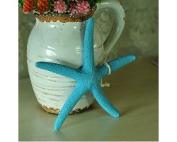 Морская звезда  декор 24х24х4 см (комплект 6шт) Fromia monilis